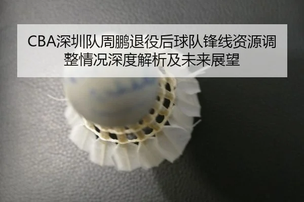 shen-zhen-dui-zhou-peng-tui-yi-hou-qiu-dui-feng-xian-zi-yuan-tiao-zheng-qing-kuang-shen-du-jie-xi-ji-wei-lai-zhan-wang-2-807.jpg